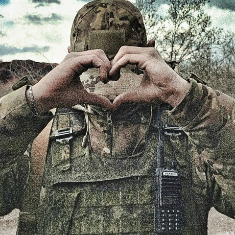 Дмитрий Стрельцов
